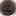 mau1rsx.jpg (71962 bytes)