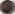 tpa9x.jpg (71514 bytes)